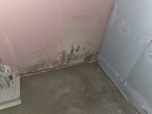 누수탐지 옥길동 누수탐지 벽체누수원인 직접 점검해 보니 달랐던 점