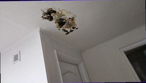 팔달구 누수탐지 벽면 습기와 누수 흔적을 확인하는 점검 과정