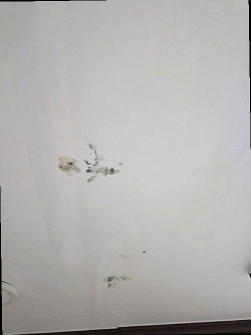 팔달구 누수탐지 매교동 아파트 9층 안방 벽면 시공 후기 사진