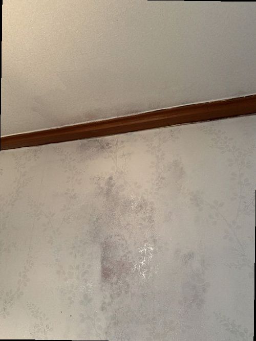 일산동구 누수탐지 식사동 단독주택 1층 보일러실 시공 후기 사진