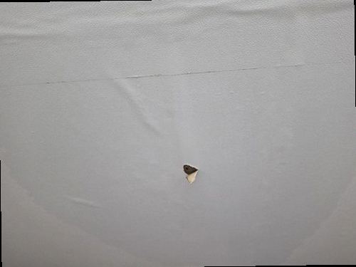 일산서구 누수탐지 구산동 단독주택 지하 창고 시공 후기 사진