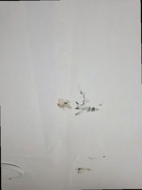 영종구 현장 작업