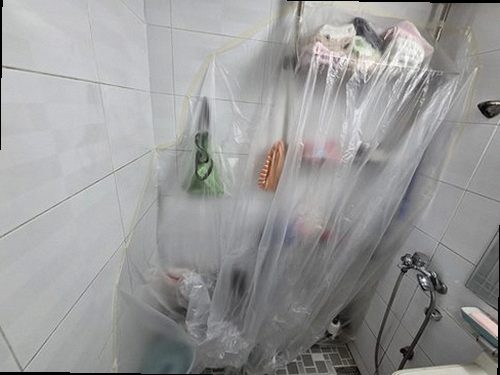 강남구 현장 확인