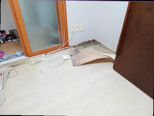 강남구 누수탐지 벽면과 바닥의 누수 흔적을 확인하는 모습