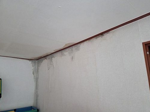 누수탐지 배관과 설비 주변을 단계적으로 확인하는 누수 점검 과정