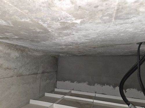 누수탐지 벽지 얼룩과 곰팡이 흔적을 날짜별로 기록한 사진 자료
