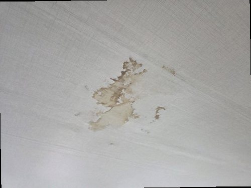 누수탐지 거실 천장 얼룩과 벽면 경계를 확인하는 점검 장면