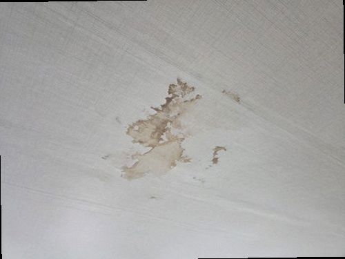 누수탐지 벽면 얼룩을 점검하는 현장 측정 장면