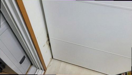 시흥 누수탐지 수분 측정기와 배관 위치를 비교하는 누수 진단 과정
