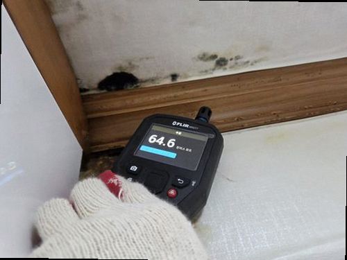 오산 현장 확인