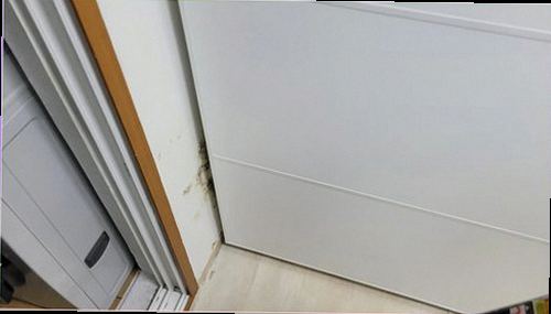 누수탐지 수분 측정 결과를 기록하고 보수 범위를 상담하는 장면
