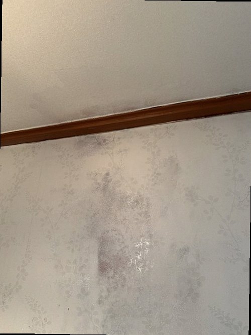 오정구 누수탐지 삼정동 다세대주택 2층 보일러실 시공 후기 사진