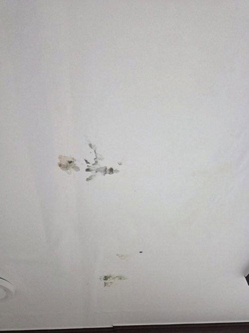 만안구 누수탐지 안양동 빌라 4층 안방 천장 시공 후기 사진