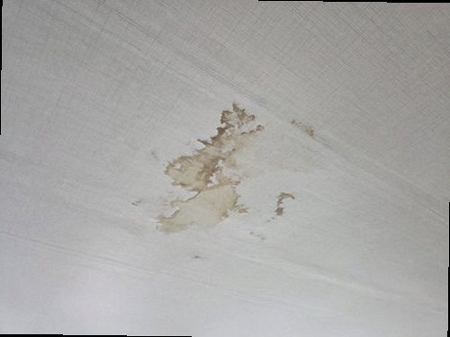 누수탐지 구갈동 누수탐지 거실천장곰팡이 원인 확인부터 해결 마무리까지