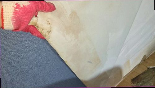 만세구 누수탐지 천장에 번진 얼룩과 습기 흔적을 확인하는 모습