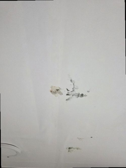 천안시 동남구 누수탐지 원성동 아파트 11층 안방 천장 시공 후기 사진