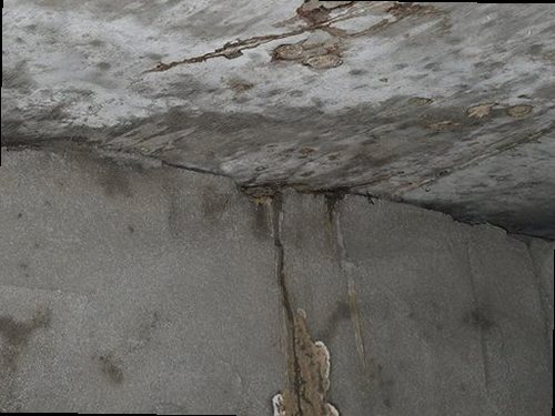 성북구 누수탐지 벽 모서리 젖은 흔적을 살피는 점검 장면