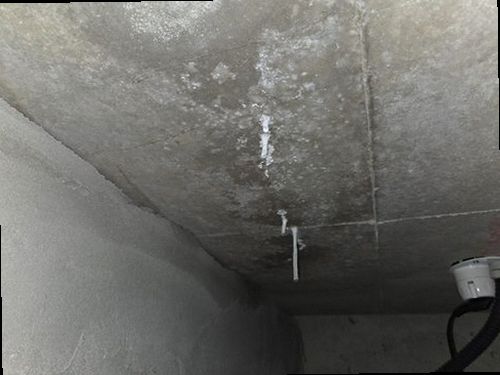 종로구 누수탐지 천장 모서리에 번진 벽지 얼룩과 들뜬 가장자리를 보여주는 현장 사진