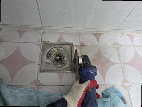 파주 재점검 기록