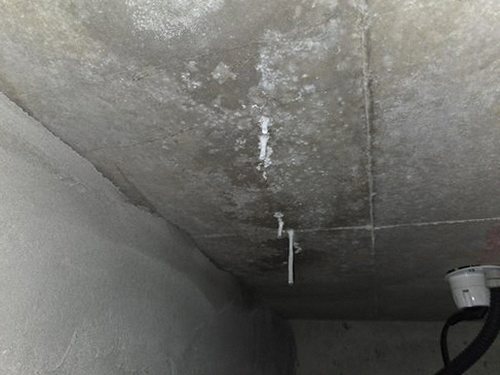 파주 누수탐지 배관 이음부와 벽체 연결 부위를 살피는 장면