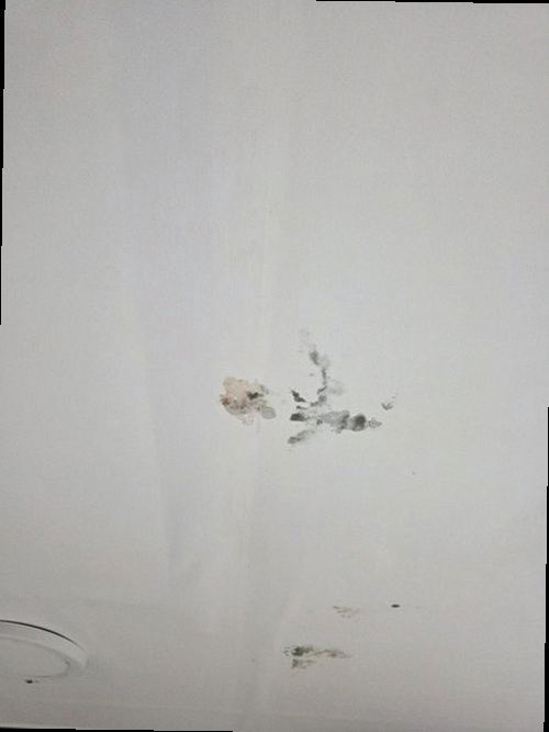 오정구 근거 설명
