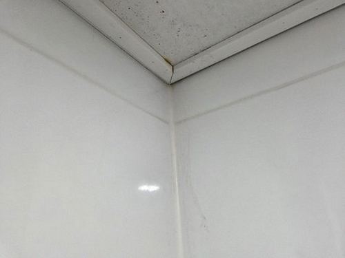 누수탐지 야탑동 누수탐지 늦추면 벽지 아래 곰팡이가 번집니다