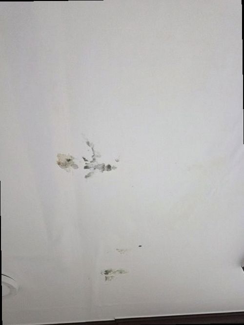 팔달구 누수탐지 벽면 얼룩 위치를 날짜별로 기록하는 점검 장면