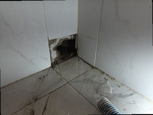 수지구 근거 설명