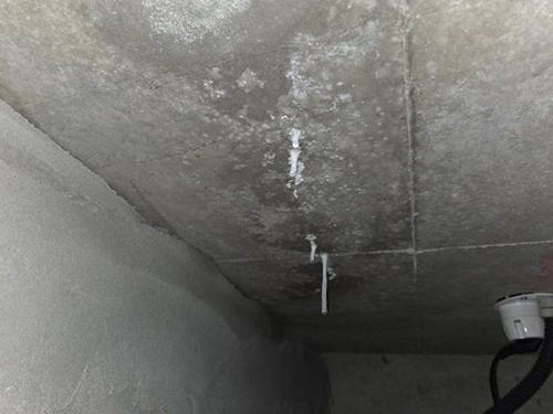 누수탐지 벽면 얼룩과 물자국이 번진 빌라 벽체 점검 장면