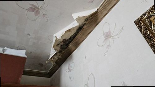 누수탐지 거실 천장에 번진 누수 얼룩과 주변 마감재 상태