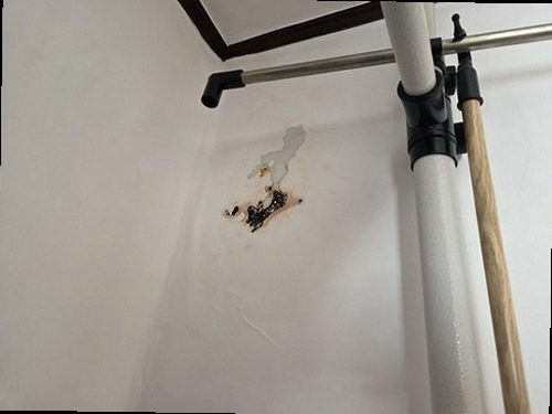 장안구 완료 점검 장안구 완료 점검