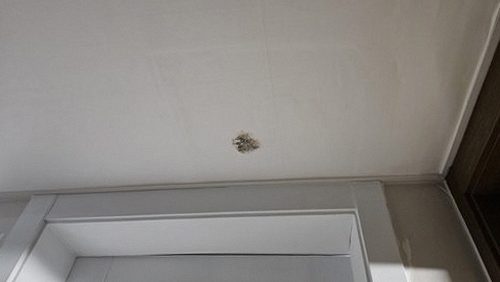 누수탐지 안양동 누수탐지 사례, 아파트 안방 천장 얼룩의 원인