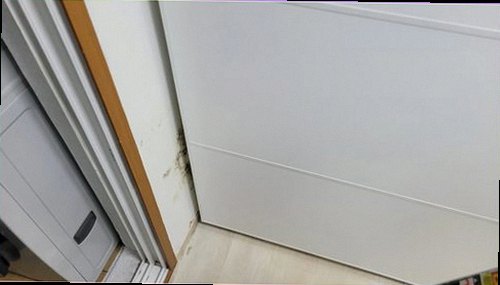 누수탐지 황계동 누수탐지 안방도배얼룩 작은 흔적을 미루면 피해가 커집니다