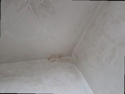 남동구 누수탐지 남촌동 다세대주택 2층 복도 시공 후기 사진