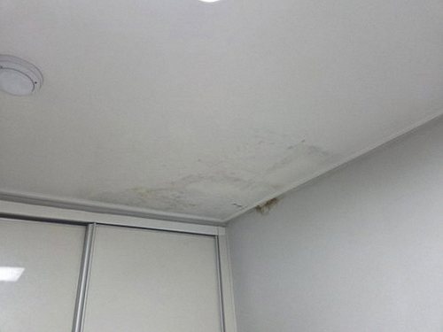 누수탐지 천장 얼룩 부위를 확인하며 배관 위치를 살피는 장면
