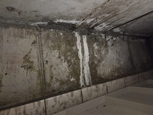 누수탐지 욕실 실링과 배수구를 함께 살펴보는 점검 장면