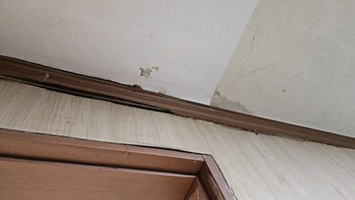 누수탐지 구로동 누수탐지 바닥물 새어나올 때 아파트 확인 항목
