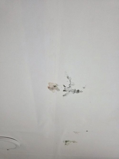 누수탐지 아파트 안방 천장 모서리에 번진 누수 얼룩