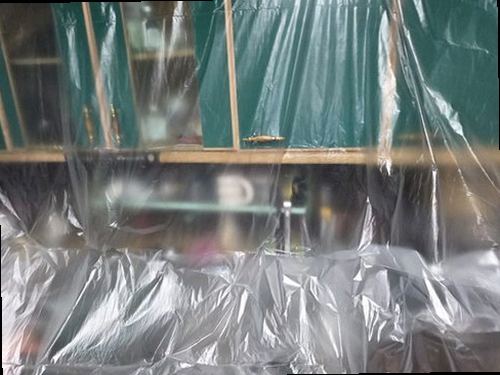 종로구 누수탐지 천장 얼룩과 배관 주변의 물기 흔적을 기록하는 모습