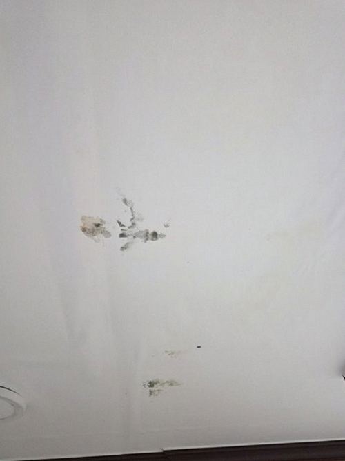 누수탐지 누수 의심 구간을 점검 장비로 확인하는 모습