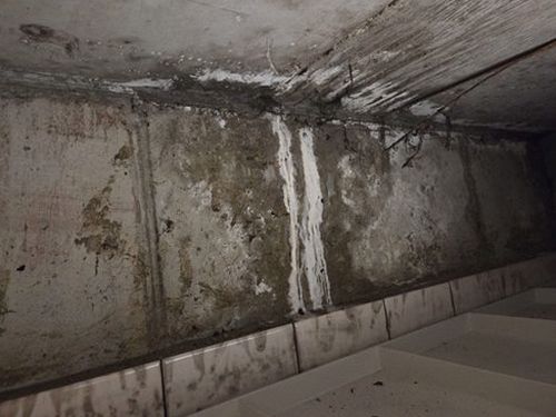 누수탐지 보수 전 벽체 바탕 면을 건조하고 점검하는 작업 장면