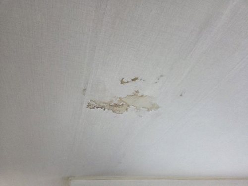 누수탐지 교문동 누수탐지 아파트 천장 얼룩은 어떻게 찾아야 할까?