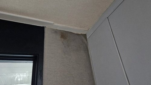 누수탐지 교산동 누수탐지 안방벽지얼룩 놓치기 쉬운 신호와 순서