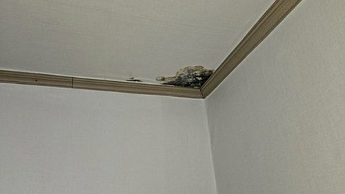 누수탐지 영통동 누수탐지 미루면 바닥 물샘이 구조부로 번집니다