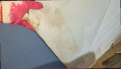 일산동구 누수탐지 천장 얼룩과 벽면 습기 흔적을 비교하는 현장 점검 모습