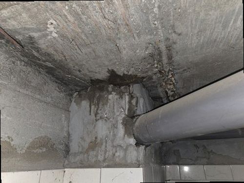 서해구·검단구 누수탐지 불로동 다세대주택 2층 보일러실 시공 후기 사진