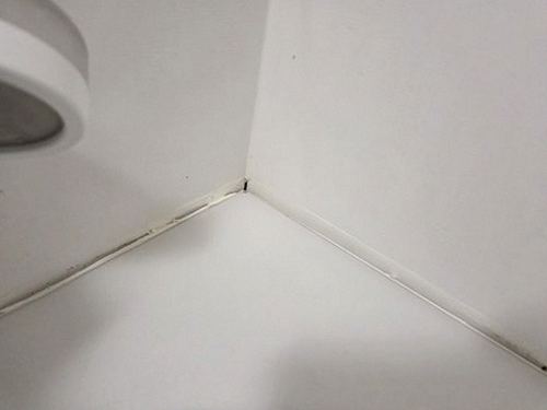 누수탐지 천장 얼룩이 번진 아파트 거실 천장 현장 사진