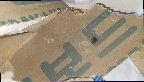 누수탐지 안방 벽면에 나타난 물자국과 습기 상태를 확인하는 모습