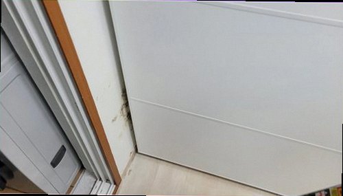 광진구 누수탐지 천장 얼룩과 벽면 습기를 확인하는 점검 모습