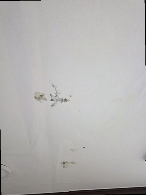 급수관 누수 서초구 누수탐지 급수관 누수